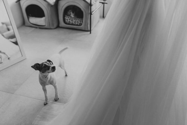 Boda Nicole Y Fabian 128