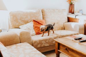 Boda Yolanda Y Nahuel 007