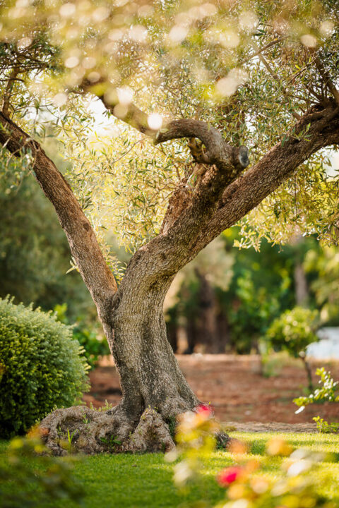 Preboda Nicol Fabian 2