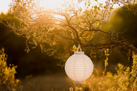 Boda Lina Julian 430