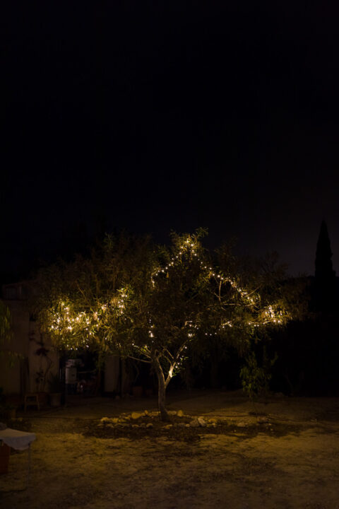 Boda Lina Julian 481