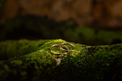 Boda Castor Barbara Can Truy 10