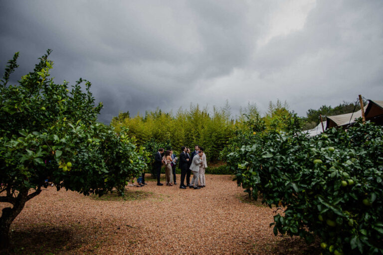 Boda Castor Barbara Can Truy 53