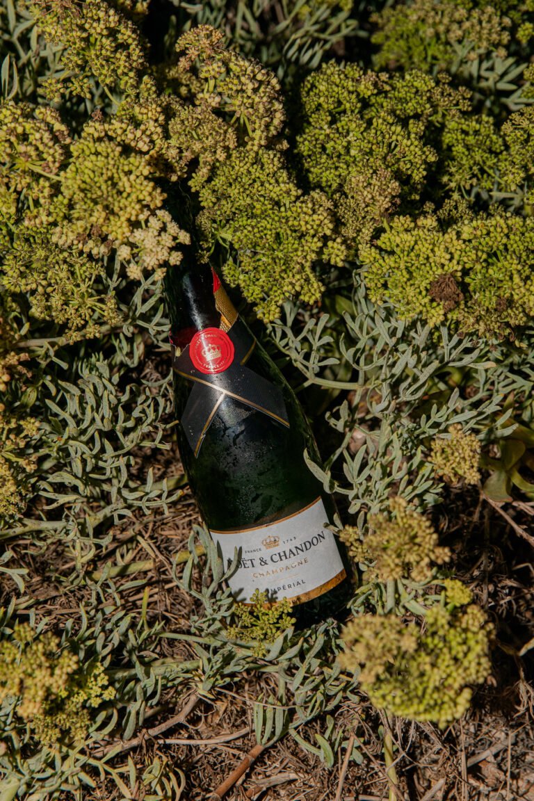 Preboda Bosco Leah 29